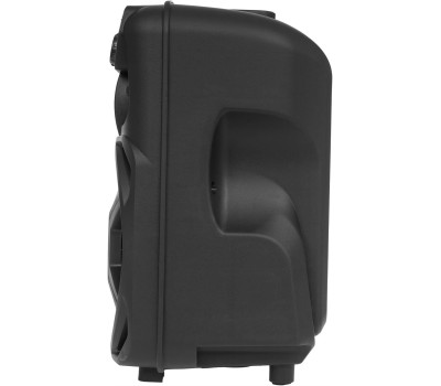 Портативная аудиосистема BLACKTON Bt PBS2110 черный