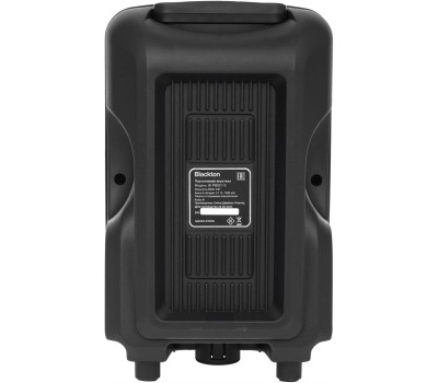 Портативная аудиосистема BLACKTON Bt PBS2110 черный