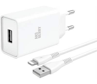 СЗУ AKSBERRY (6900221580012) T40 1USB 24A + Lightning (белый)