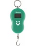 Безмен HOMESTAR HS-3003 (002692)