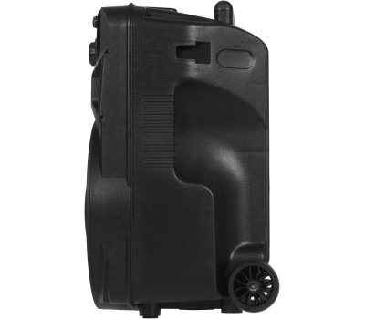 Портативная аудиосистема BLACKTON Bt PBS2111 черный