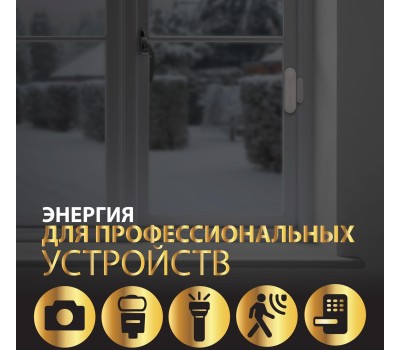 GP BATTERIES GP CR2E-2CR1 10/450