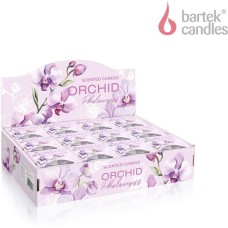 Свеча BARTEK Орхидея Фаленопсис (Orchid Phalaenopsis) 115гр в стакане