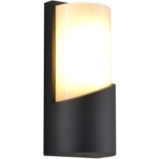 ESCADA Настенный светильник 30004W/01 E27*40W IP44 Dark grey