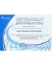 Мышь беспроводна SMARTBUY (SBM-262AG-O) бронза