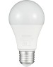 Лампа СТАРТ (17286) LEDGLSE27 15W 65 WS
