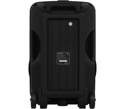 Портативная аудиосистема Blackton Bt PBS2112 Черный