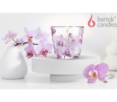 Свеча BARTEK Орхидея Фаленопсис (Orchid Phalaenopsis) 115гр в стакане