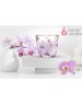Свеча BARTEK Орхидея Фаленопсис (Orchid Phalaenopsis) 115гр в стакане